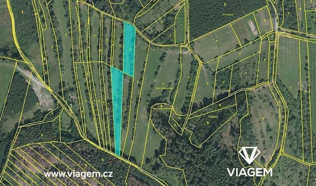 Prodej louky 2 410 m², Borotín, okres Blansko
