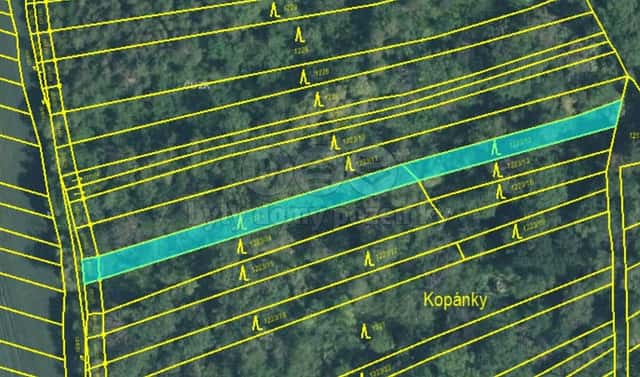 Prodej lesa 1 073 m², Heršpice, okres Vyškov
