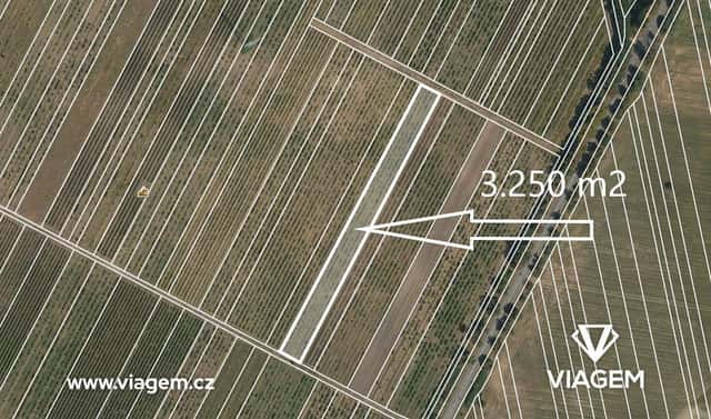 Prodej pole 3 250 m², Valtice, okres Břeclav