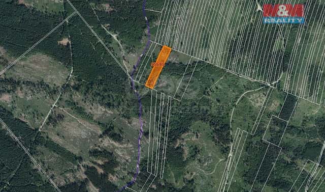 Prodej lesa 6 092 m², Nová Hradečná, okres Olomouc