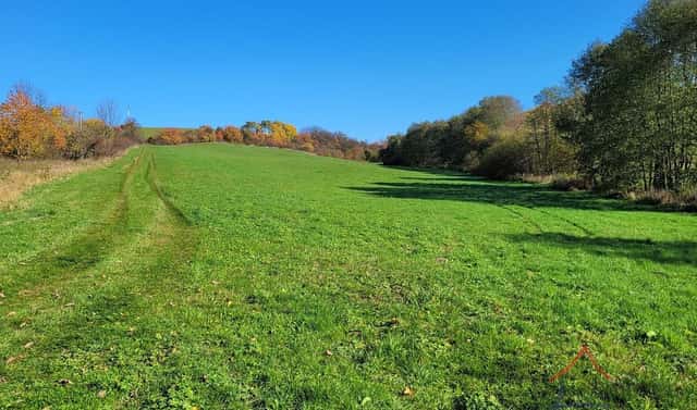Prodej louky 52 559 m², Broumov, okres Náchod