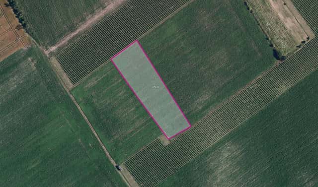 Prodej pole 6 317 m², Nový Poddvorov, okres Hodonín