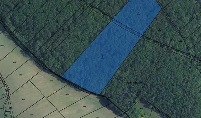 Prodej lesa 4 024 m², Morkůvky, okres Břeclav
