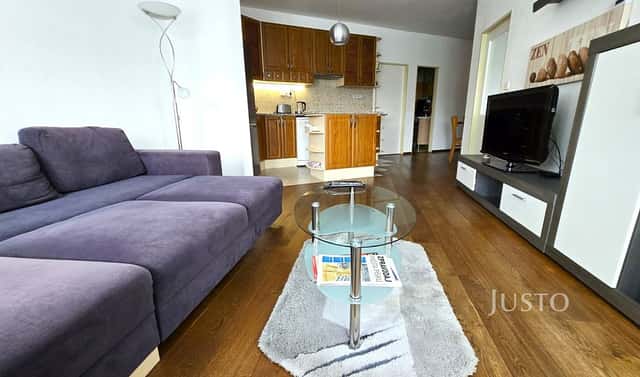 Pronájem bytu 3+kk 68 m², V Portyči, Písek – Pražské Předměstí