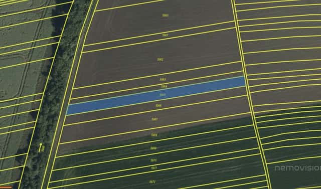 Prodej pole 595 m², Tvarožná Lhota – Bdeněves, okres Hodonín