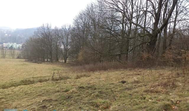 Prodej pole 5 161 m², Česká Kamenice – Horní Kamenice, okres Děčín