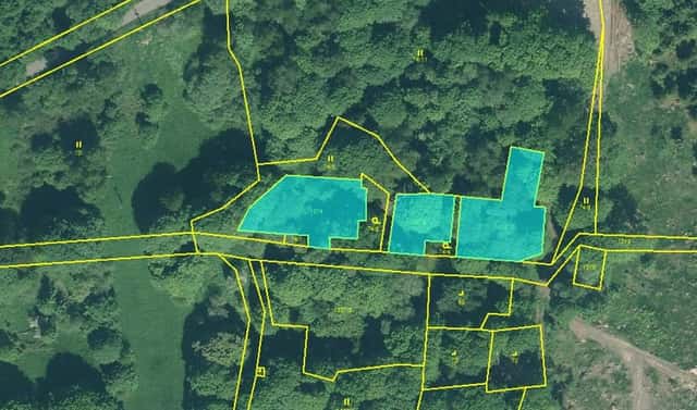 Prodej louky 1 713 m², Staré Sedliště – Labuť, okres Tachov