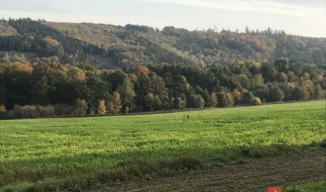Prodej stavebního pozemku 1 395 m², Čavisov, okres Ostrava-město