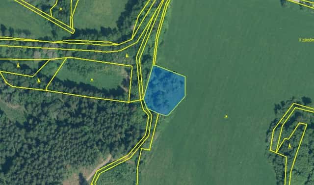 Prodej louky 17 233 m², Dlouhý Újezd, okres Tachov