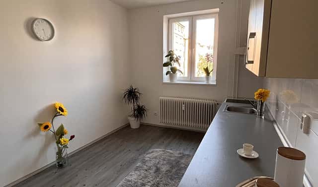 Pronájem bytu 1+1 47 m², Prostorná, Ostrava, okres Ostrava-město