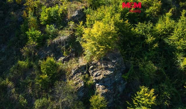 Prodej lesa 7 450 m², Lomnice, okres Brno-venkov