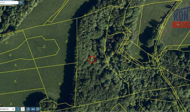 Prodej lesa 12 739 m², Životice u Nového Jičína, okres Nový Jičín