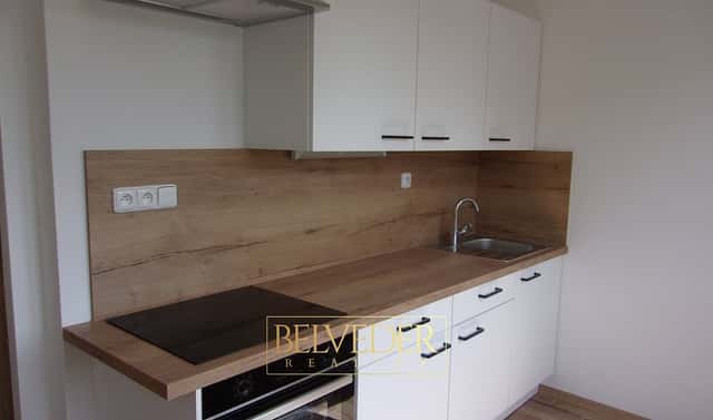 Pronájem bytu 2+1 53 m², Stará Duchcovská, Teplice – Řetenice
