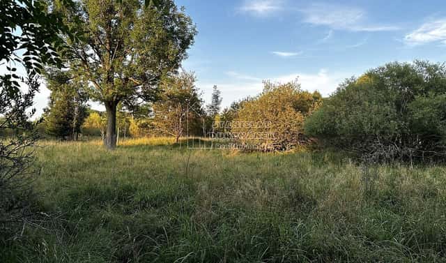 Prodej stavebního pozemku 1 713 m², Nová Ves, okres Sokolov