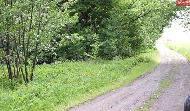 Prodej pozemku 4 584 m², Horní Heřmanice, okres Ústí nad Orlicí