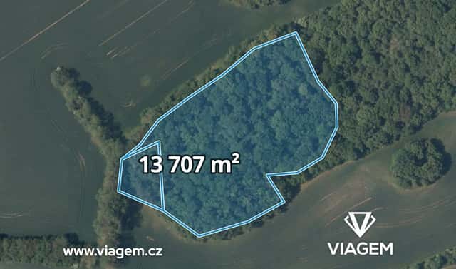 Prodej lesa 13 707 m², Vysoký Újezd, okres Beroun