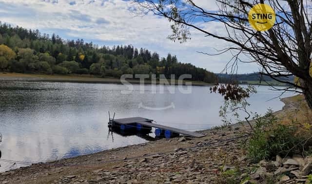 Pronájem lesa 1 304 m², Razová, okres Bruntál
