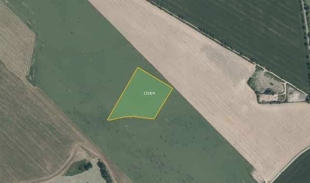 Prodej pole 21 681 m², Načeradec, okres Benešov