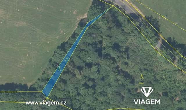 Prodej lesa 681 m², Česká Kamenice, okres Děčín