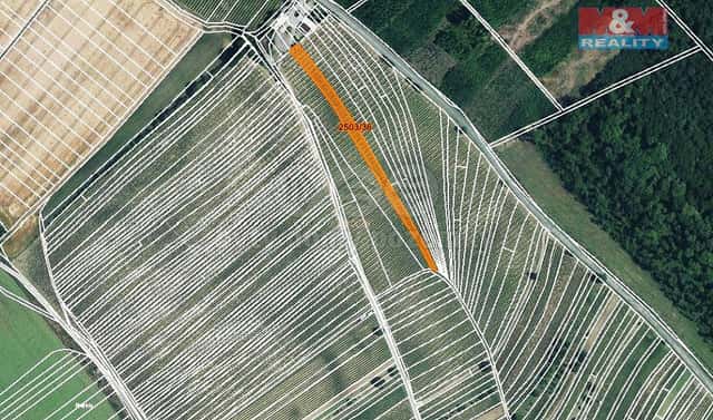Prodej pole 2 497 m², Dolní Bojanovice, okres Hodonín