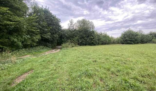 Prodej pole 950 m², Potštejn, okres Rychnov nad Kněžnou