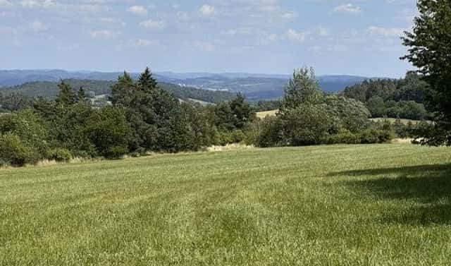 Prodej stavebního pozemku 14 128 m², Pečice, okres Příbram