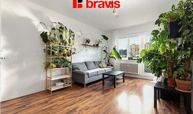 Prodej bytu 2+1 55 m², Pšeník, Brno – Štýřice, okres Brno-město
