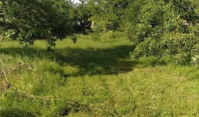 Prodej stavebního pozemku 659 m², U dráhy, Šanov, okres Znojmo
