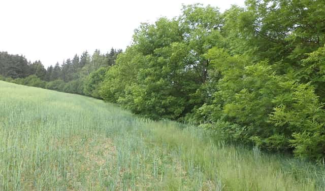 Prodej stavebního pozemku 1 135 m², Pohledy – Horní Hynčina, okres Svitavy