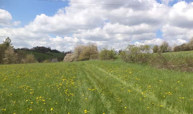 Prodej pozemku 5 357 m², Vítkov, okres Opava