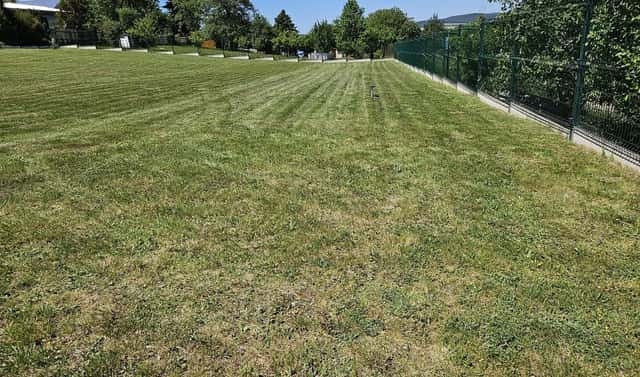 Prodej stavebního pozemku 1 702 m², Třemošnická, Divišov, okres Benešov