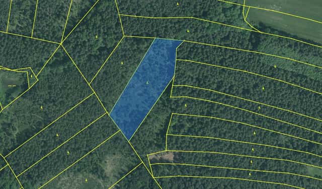 Prodej lesa 13 252 m², Jílovice – Velešovice, okres České Budějovice
