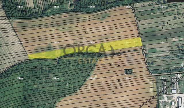 Prodej pole 5 796 m², Syrovín, okres Hodonín