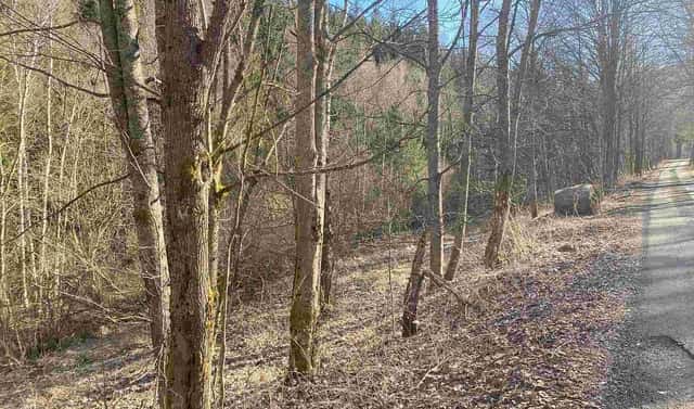 Prodej pole 10 377 m², Čachrov – Javorná, okres Klatovy