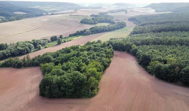 Prodej pole 26 115 m², Pozdeň – Hřešice, okres Kladno
