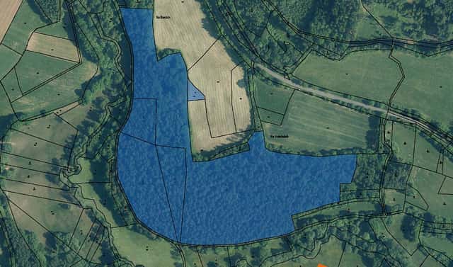 Prodej lesa 2 833 m², Čmelíny, okres Plzeň-jih