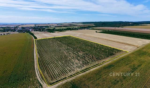 Prodej pole 48 928 m², Těšetice, okres Znojmo