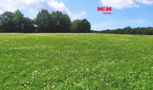 Prodej louky 4 766 m², Štramberk, okres Nový Jičín