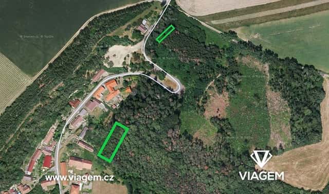 Prodej lesa 1 243 m², Vinaře, okres Kutná Hora