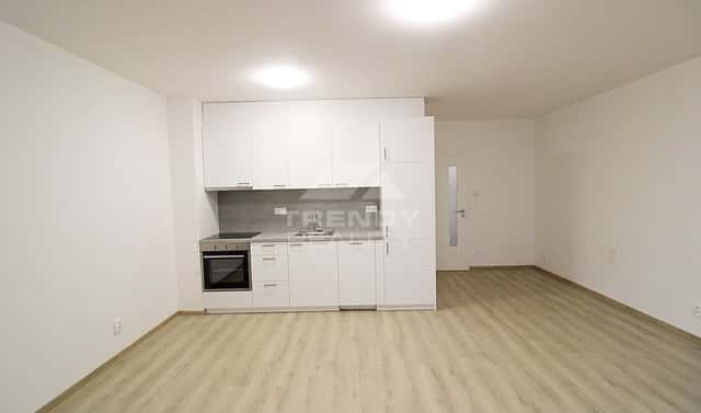 Pronájem bytu 2+kk 60 m², Heyrovského, Plzeň – Doudlevce, okres Plzeň-město
