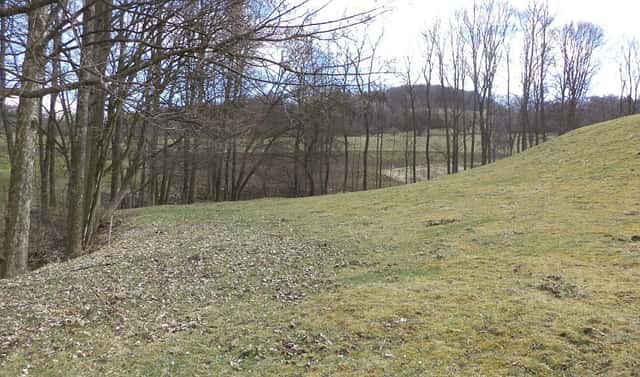 Prodej pole 4 633 m², Heřmanov – Fojtovice, okres Děčín