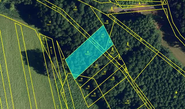Prodej lesa 158 m², Popůvky, okres Brno-venkov