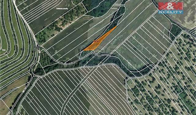 Prodej lesa 1 773 m², Němčany, okres Vyškov