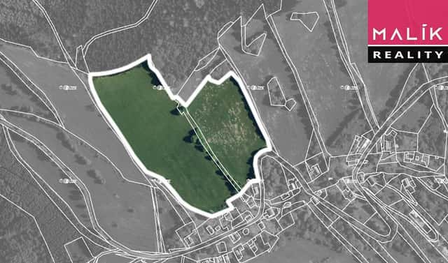 Prodej louky 69 991 m², Stráž nad Ohří – Srní, okres Karlovy Vary