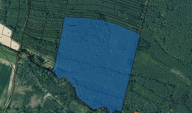 Prodej lesa 15 173 m², Nadryby, okres Plzeň-sever