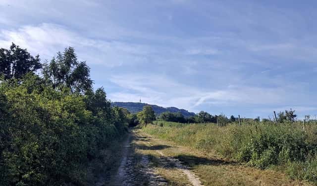 Prodej stavebního pozemku 834 m², Dolní Věstonice, okres Břeclav