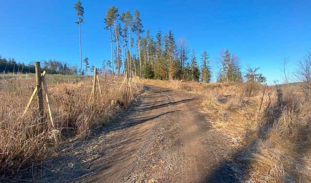 Prodej pozemku 3 847 m², Kočov – Klíčov, okres Tachov