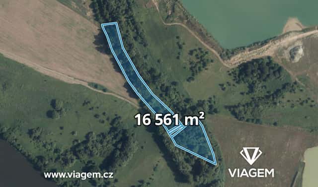 Prodej lesa 2 389 m², Kostelec nad Labem, okres Mělník