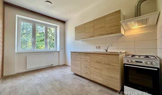 Pronájem bytu 1+1 40 m², Viniční, Brno – Židenice, okres Brno-město