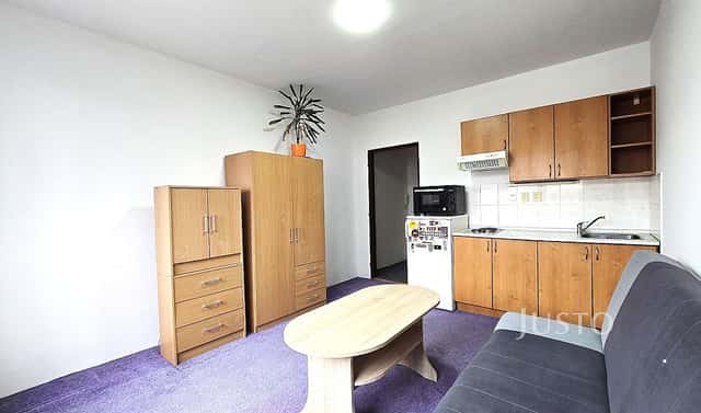 Pronájem bytu 1+kk 20 m², Dr. M. Horákové, Písek – Budějovické Předměstí